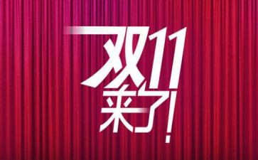 双11快递工作计划8篇