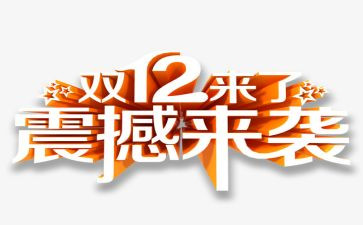 双12问卷调查报告8篇