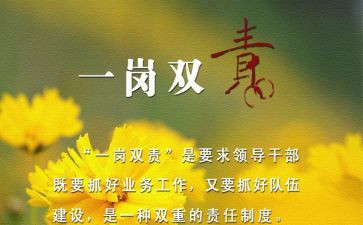 一岗双责报告述职报告范文8篇