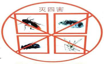 村除四害工作计划7篇