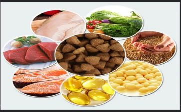读饲料报后心得体会6篇