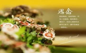 思念家乡作文最新6篇