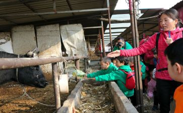 饲养工作总结5篇