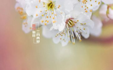四月的演讲稿6篇