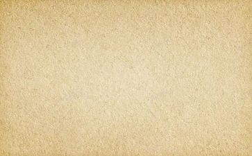 作文素材精选500字6篇