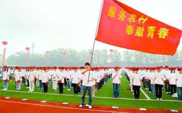 特岗教师工作个人总结通用8篇