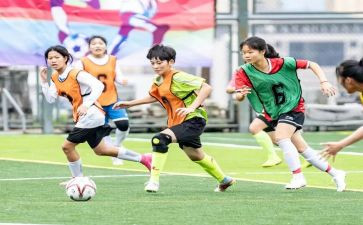 学校体卫工作总结6篇