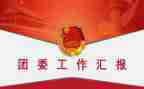 2023镇团委工作报告7篇