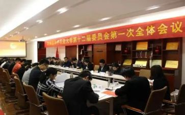 团委会干部申请书6篇