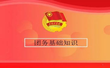 2023团务工作计划参考5篇