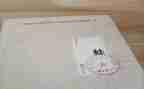 青蛙保护倡议书8篇