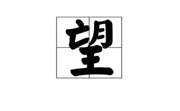 愿愿望的实现读后感推荐6篇