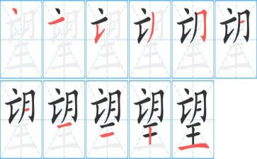 遥望作文800字8篇