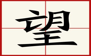 回顾与展望的党日心得体会5篇