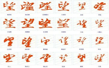 鸟的愿望作文6篇