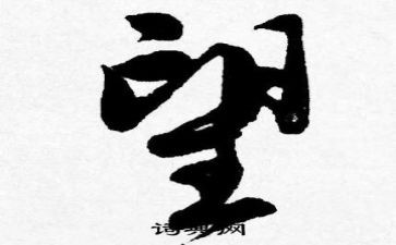 读5毛钱的愿望读后感精选7篇