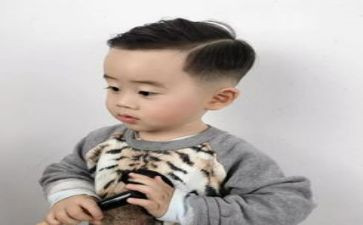 狼王子读后感作文推荐5篇