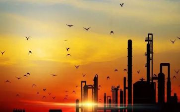 母爱最伟大作文5篇