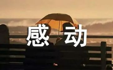 感动,优秀作文通用8篇