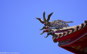 到是文化的心得体会最新6篇