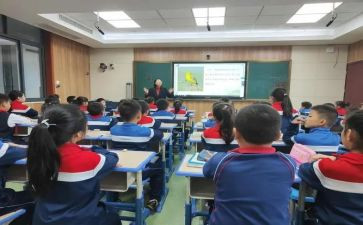 小学语文课改心得8篇