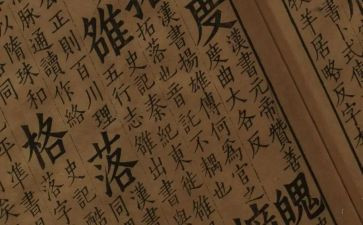 文学培训心得体会6篇