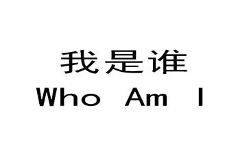 幼儿园我是谁教案最新7篇