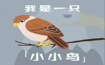 作文我是一只小小鸟500字7篇