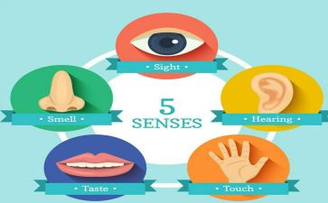 五官科护士工作总结5篇