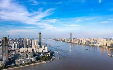 武汉的观后感8篇