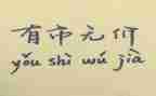 有关无价的作文8篇