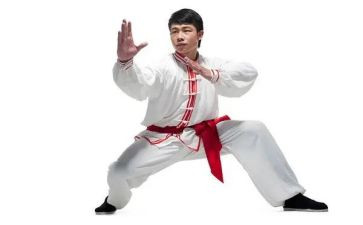 练武术的心得体会6篇