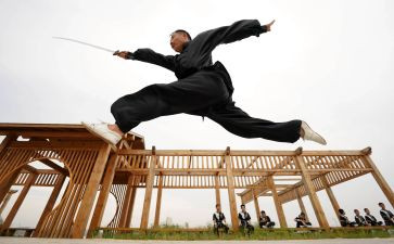 武术社工作总结8篇