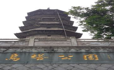 写《乌塔》读后感的作文300字7篇