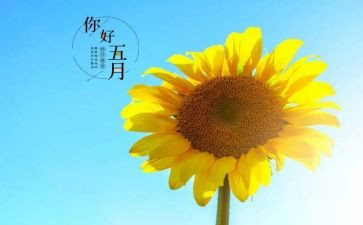 2023五月心得体会8篇