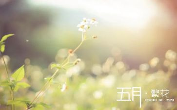 2024五月活动方案5篇