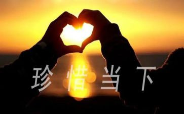 珍惜生命,作文优质6篇