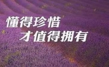 珍惜粮食倡议书8篇