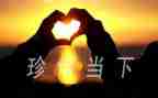 珍惜生命,作文优质6篇