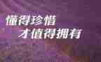 珍惜粮食倡议书8篇