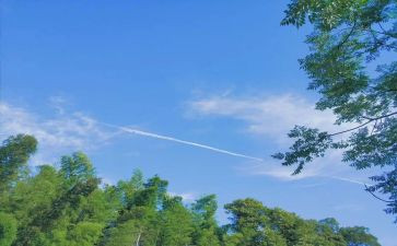 夏令营心得体会100优秀7篇