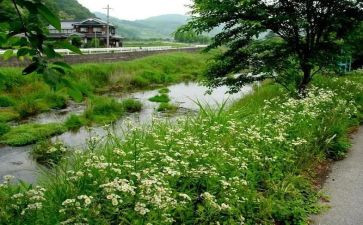 夏天的歌中班音乐教案模板7篇