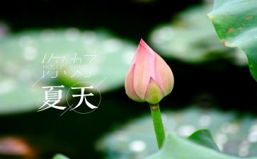 夏天的雨的作文5篇