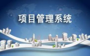 项目个人年度工作总结5篇