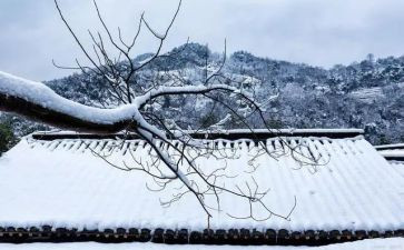 想念作文600字6篇