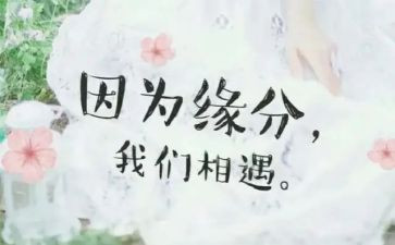 我与______相遇作文5篇