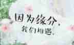 我与______相遇作文5篇