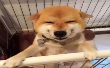 谁笑了作文500字6篇