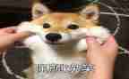 谁笑了作文600字推荐8篇