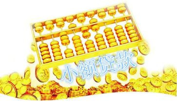 申请小额贷款申请书7篇